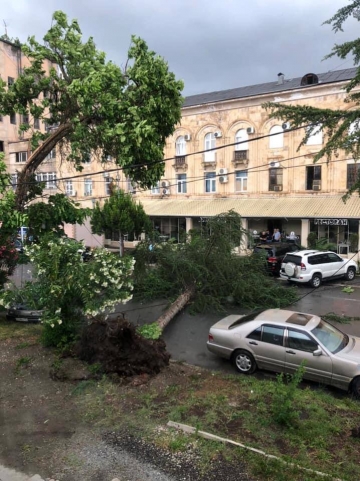 УРАГАННЫЙ ВЕТЕР НАНЕС ПОВРЕЖДЕНИЯ В СУХУМЕ